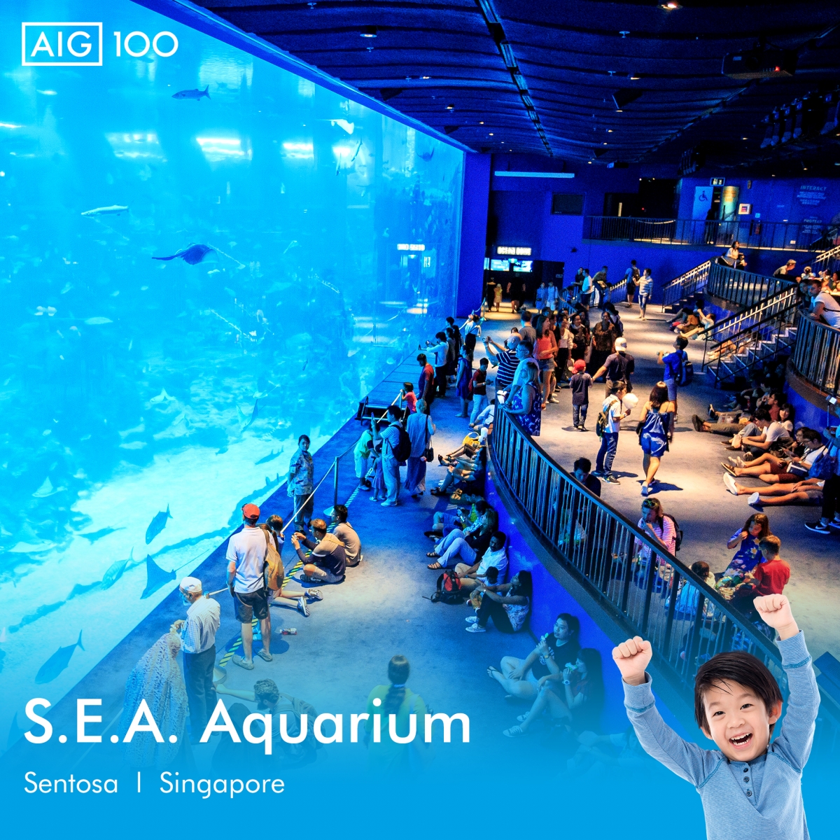 dream aquarium launch tour dream aquarium launch tour